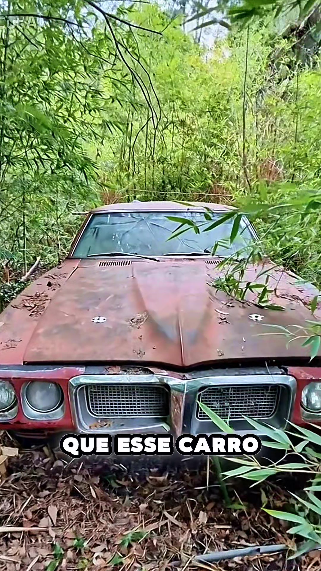 @Notícias De primeira 🗞️