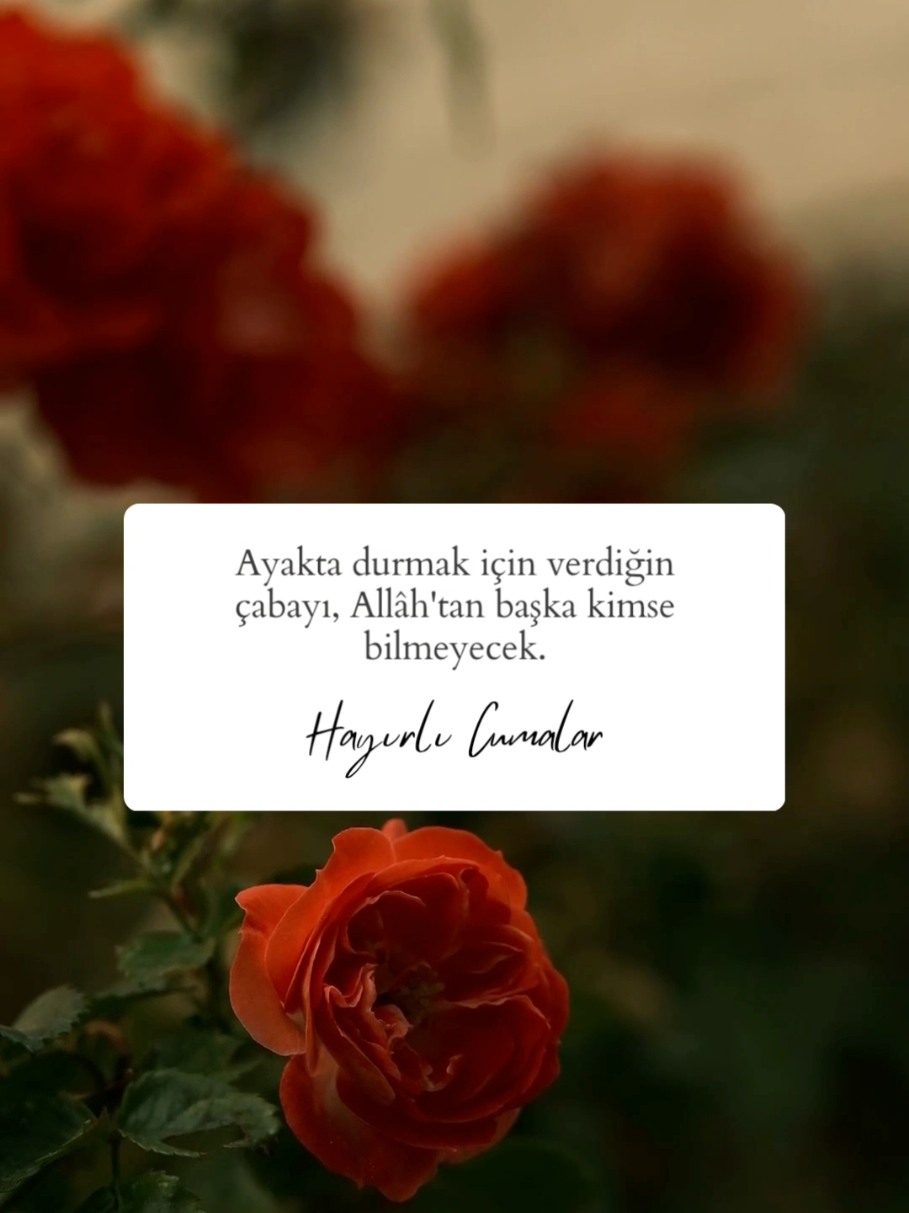 @ᴅᴜᴀ ᴅɪ̇ʏᴀʀɪᴍ