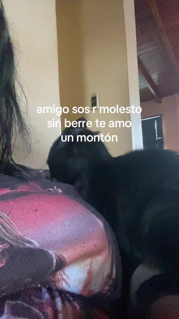 @vampiturra