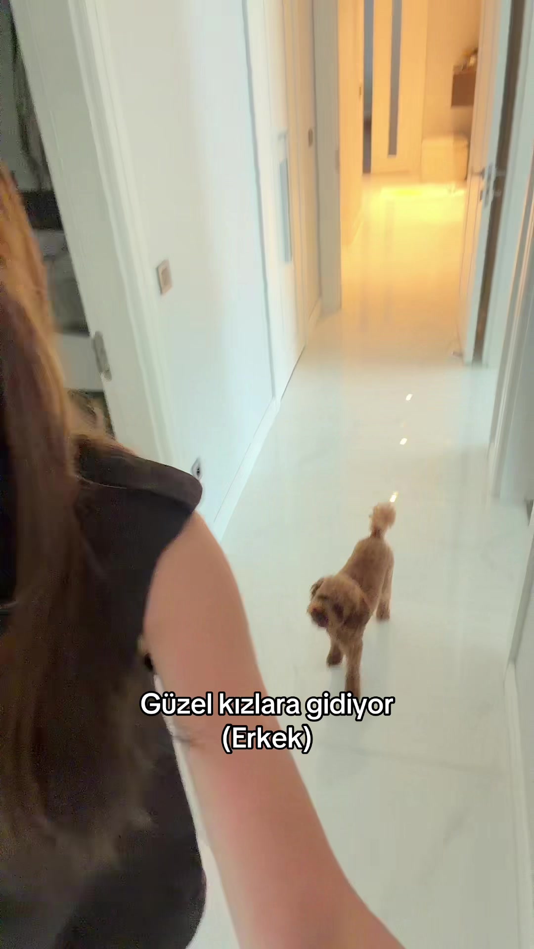 @Lamia Demirel