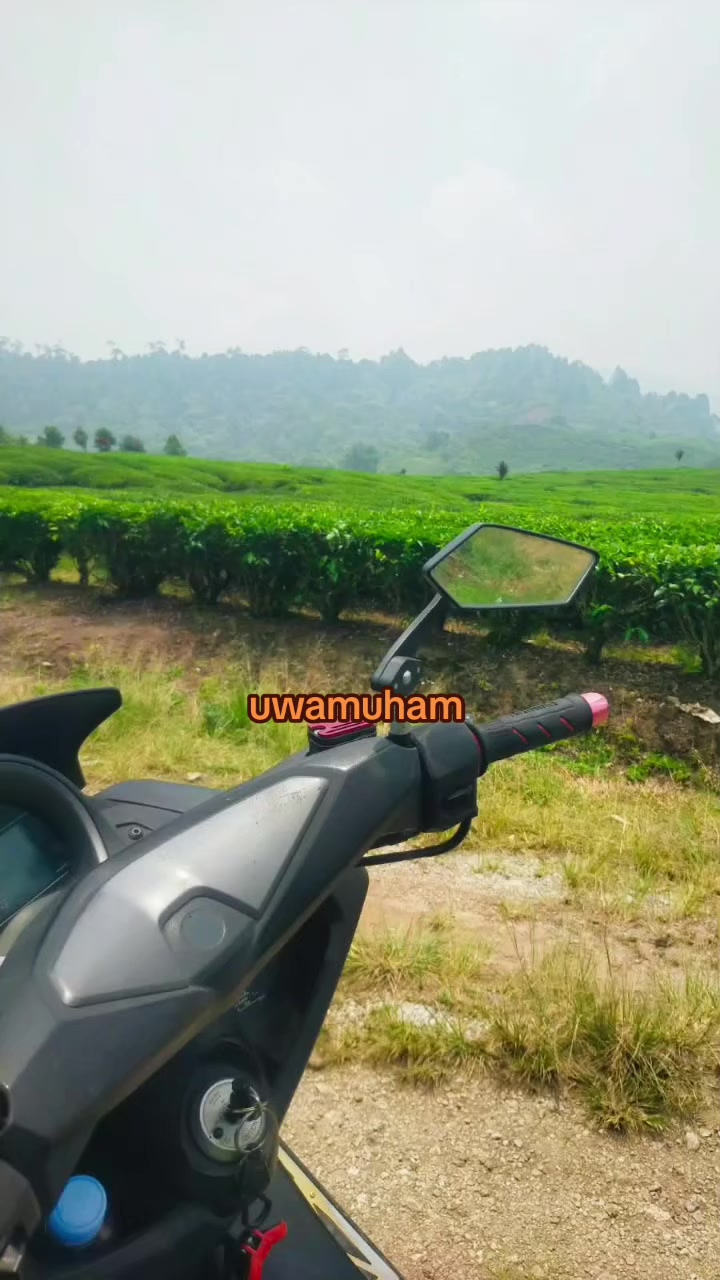 @Uwa_M