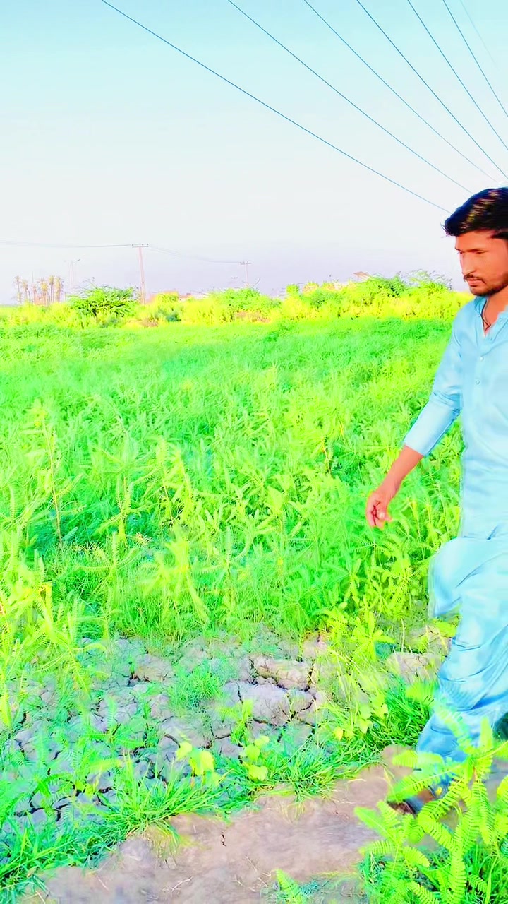@mukeshbheel786