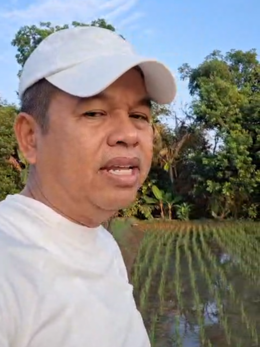 @KANG DEDI MULYADI