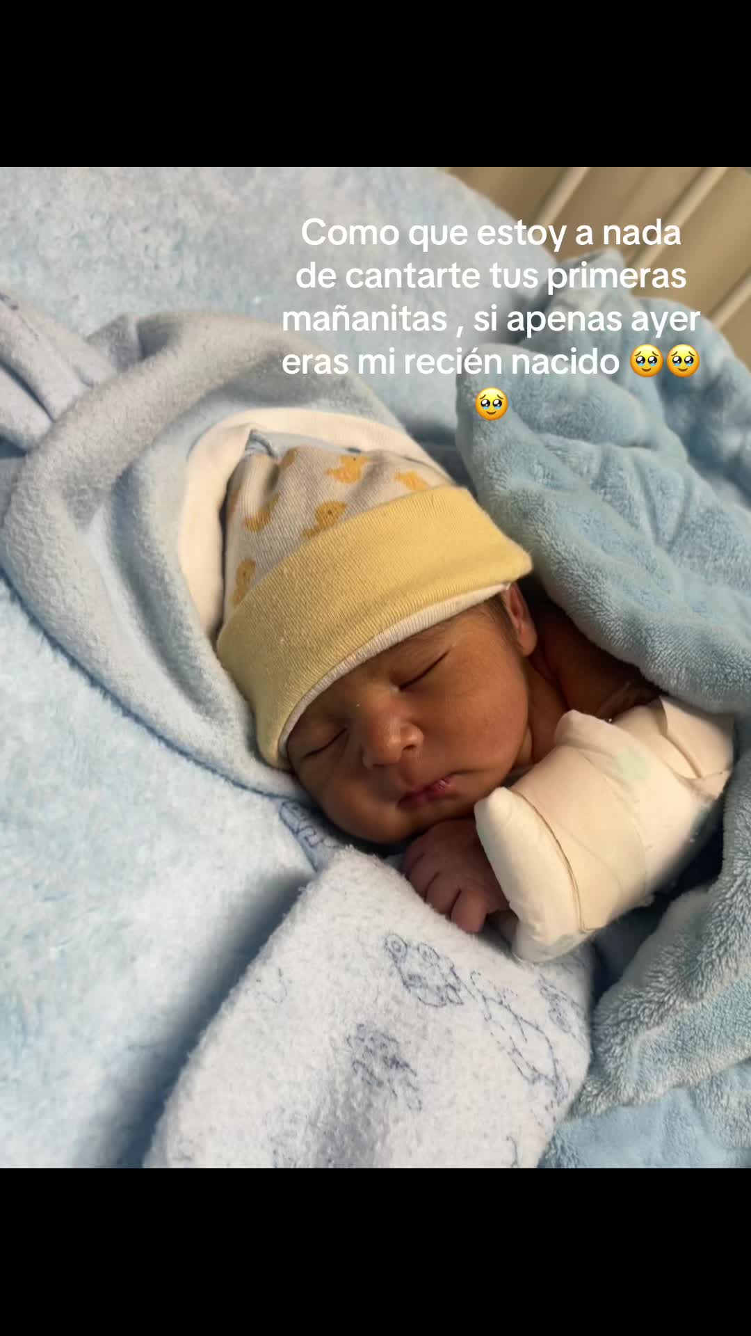 @Melany Andrade