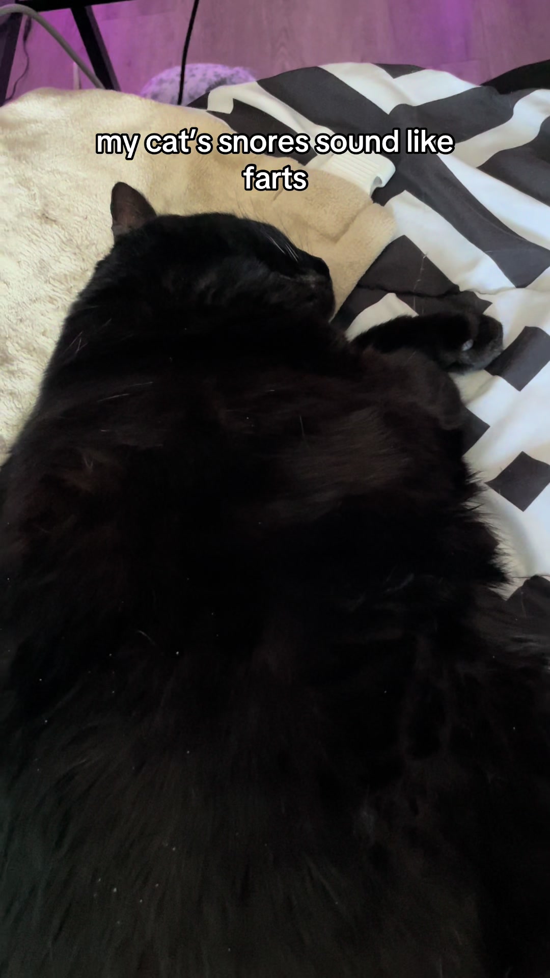 @Fifi La Floof