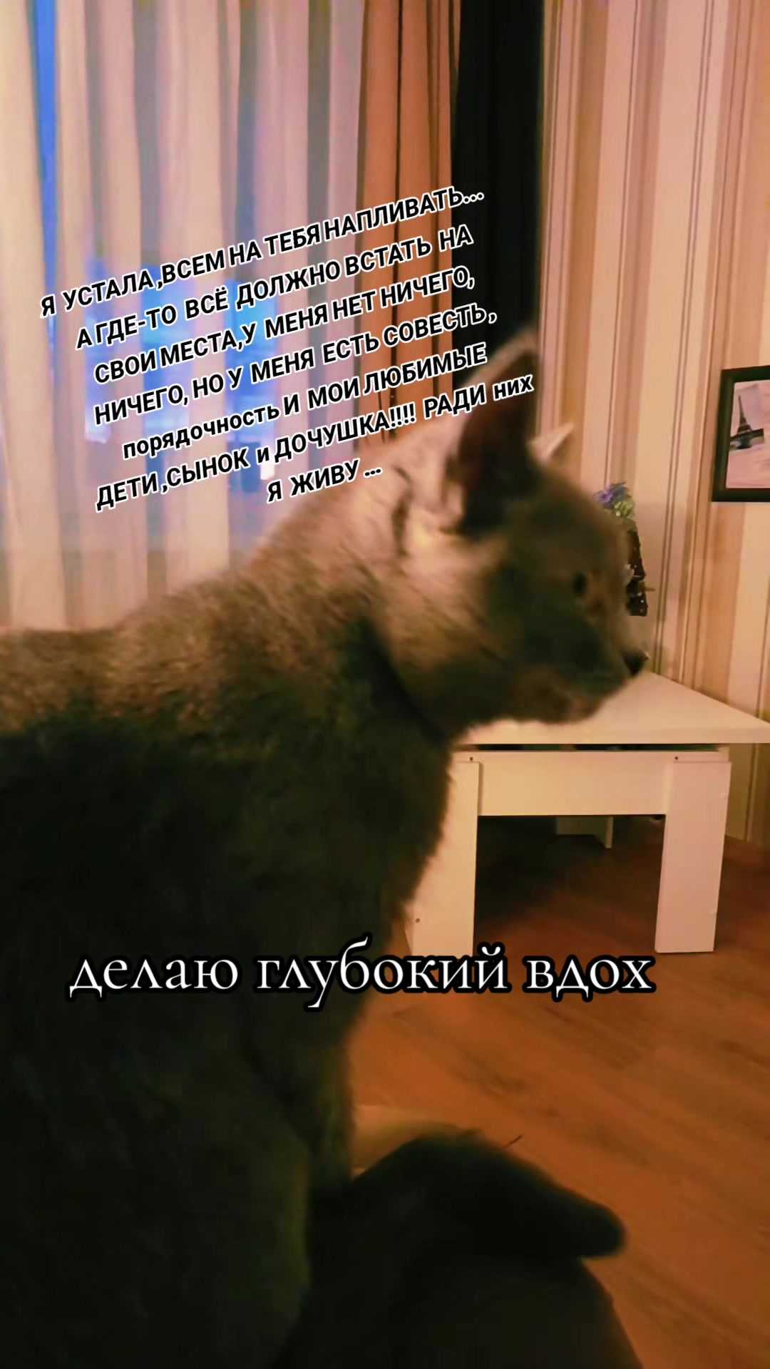 @ТАНЮШКА 🌺🌺