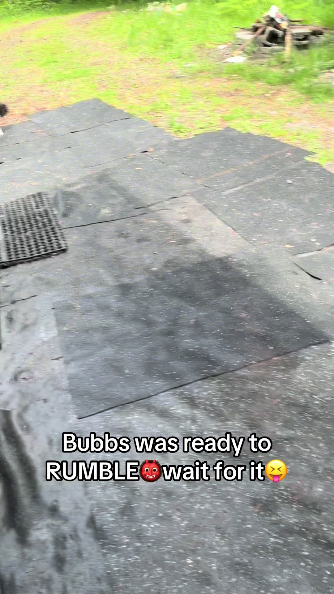 @itsbubblesinthewoods