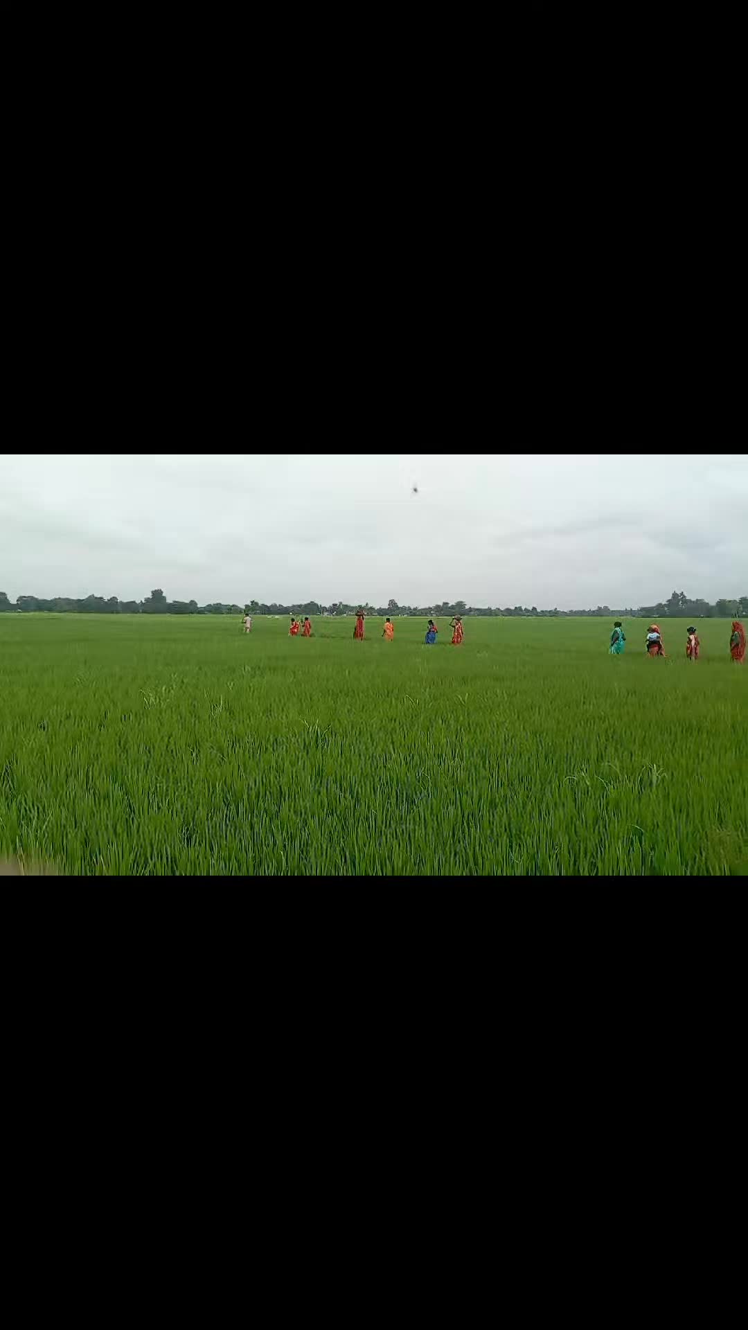 @dasdinesh76