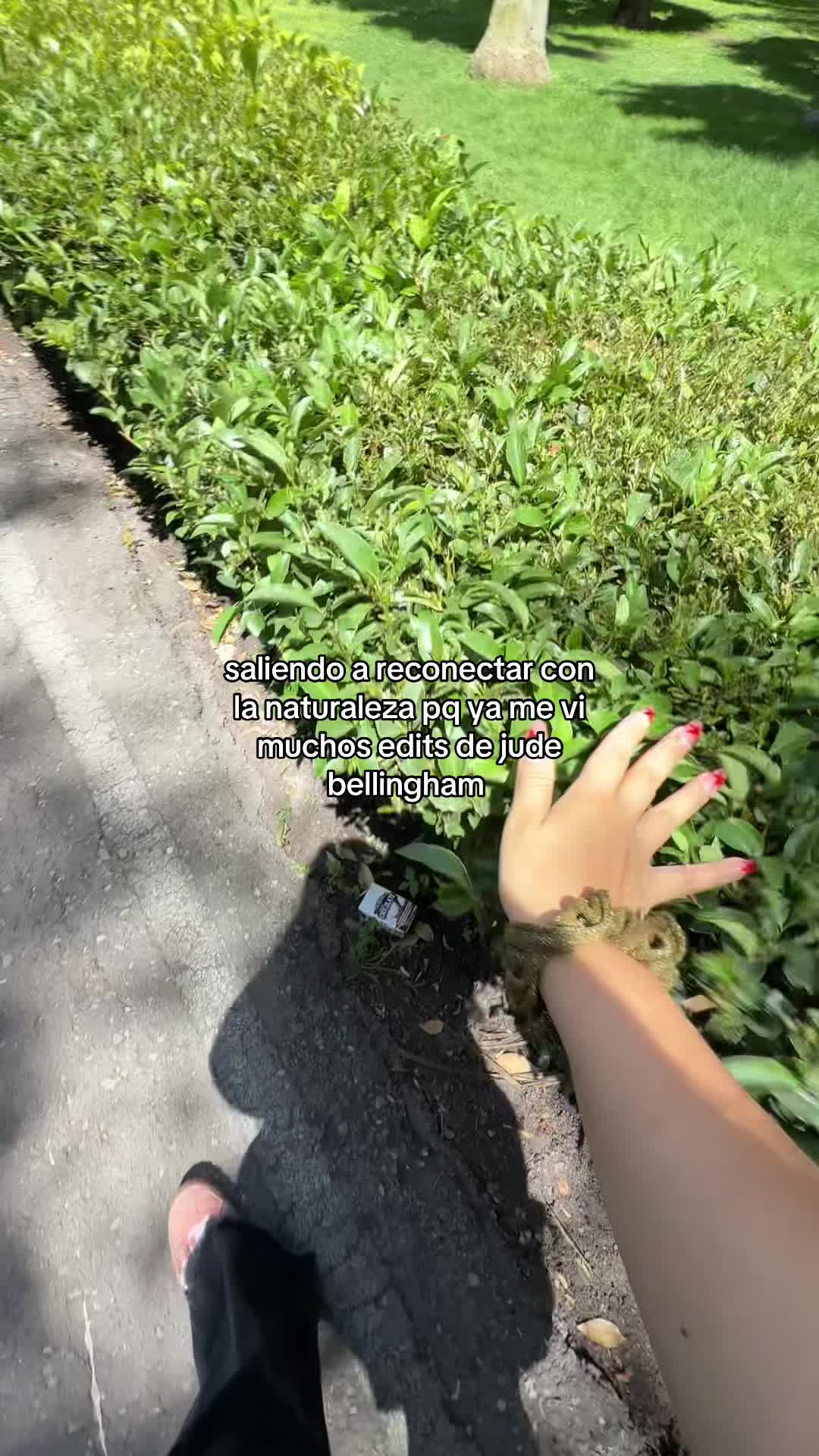 @andrea