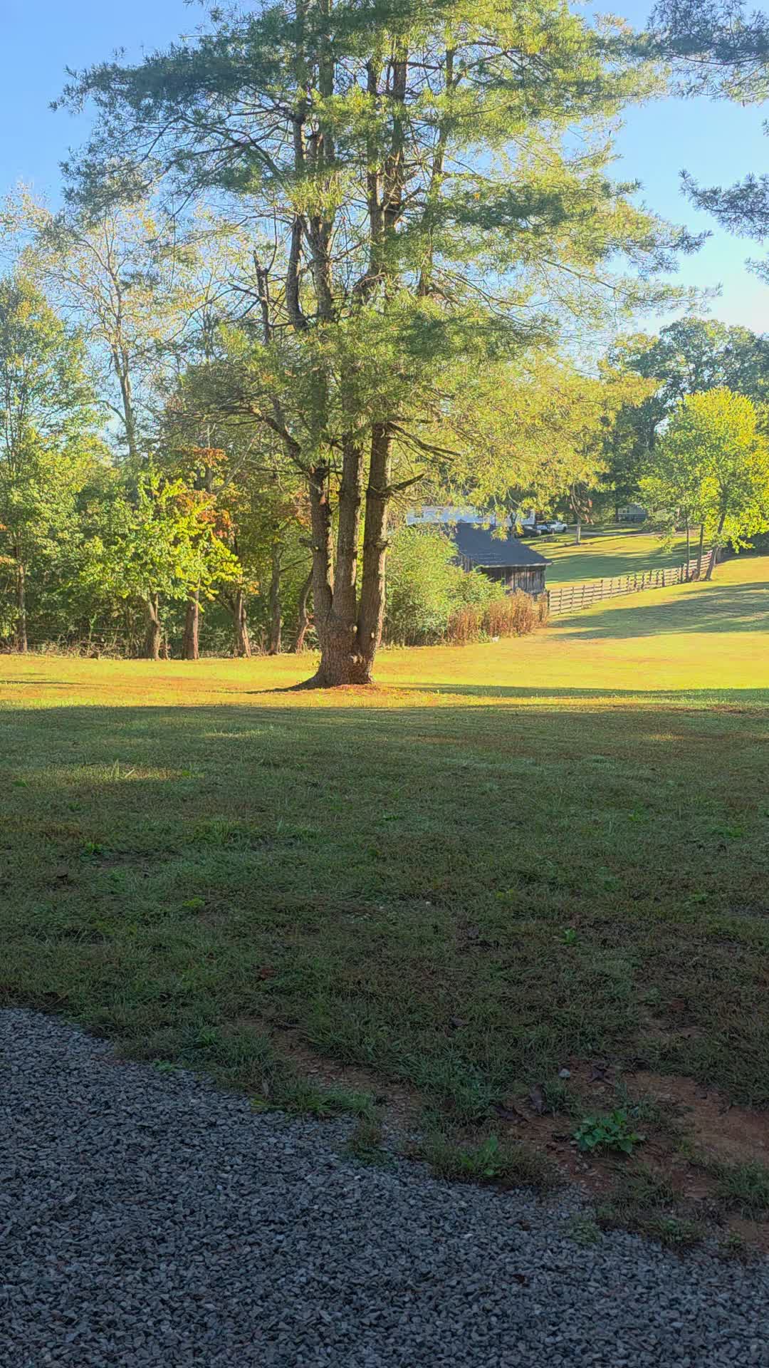 @"Just my side of the porch"