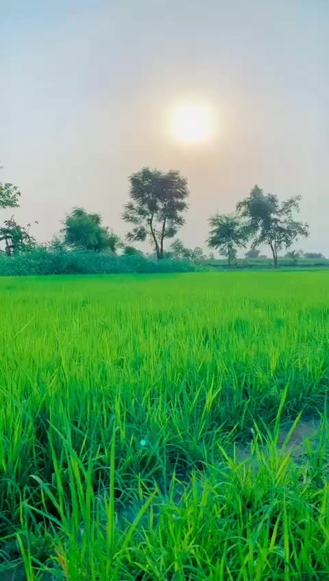 @ch.amanullah nahra190