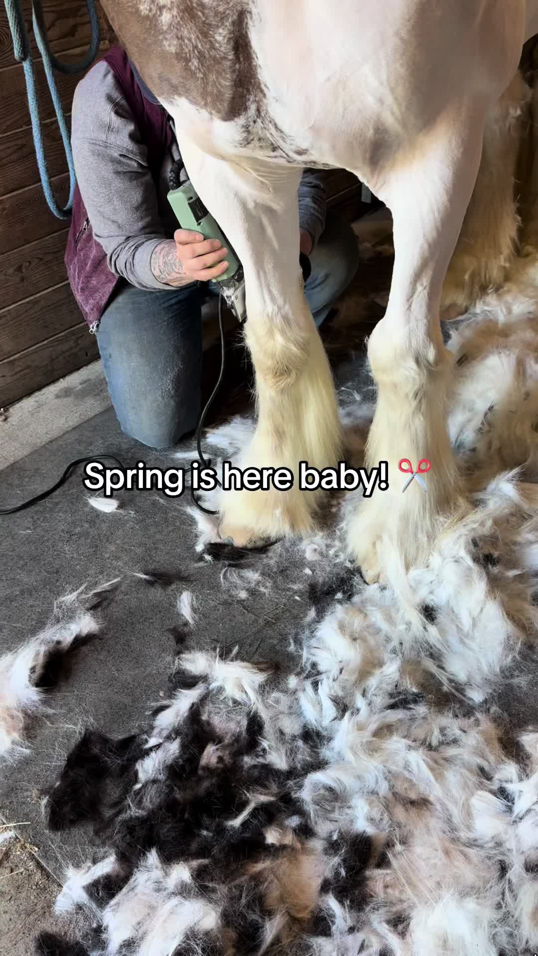 @horseadventurist