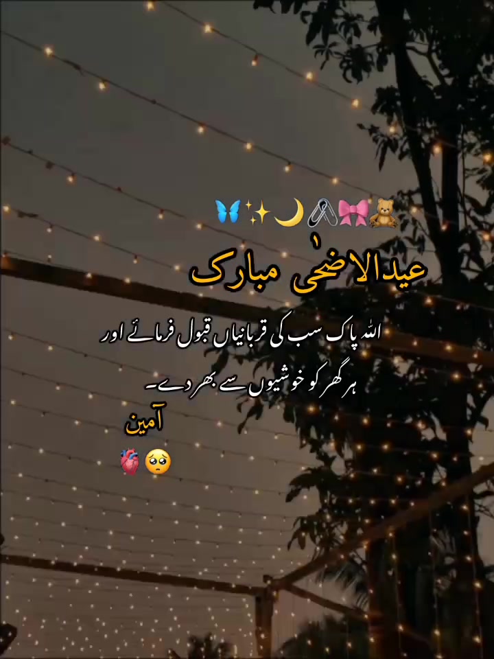 @ᥫ᭡𓆩𝑲𝒊𝒏𝒛𝒖𝒖𓆪⏤͟͟͞͞🐼⃟🌷˚₊