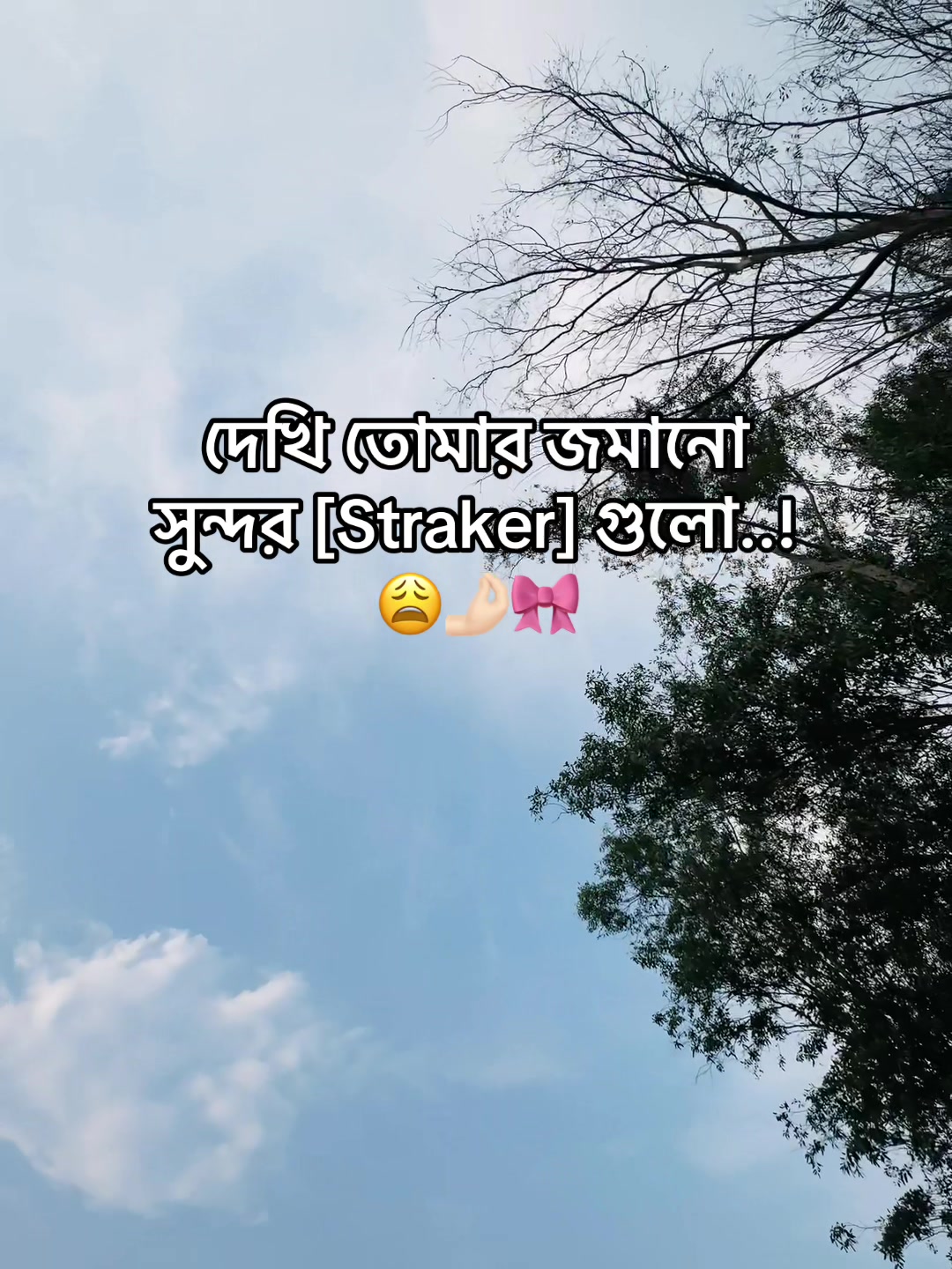 @টিক-টিকি