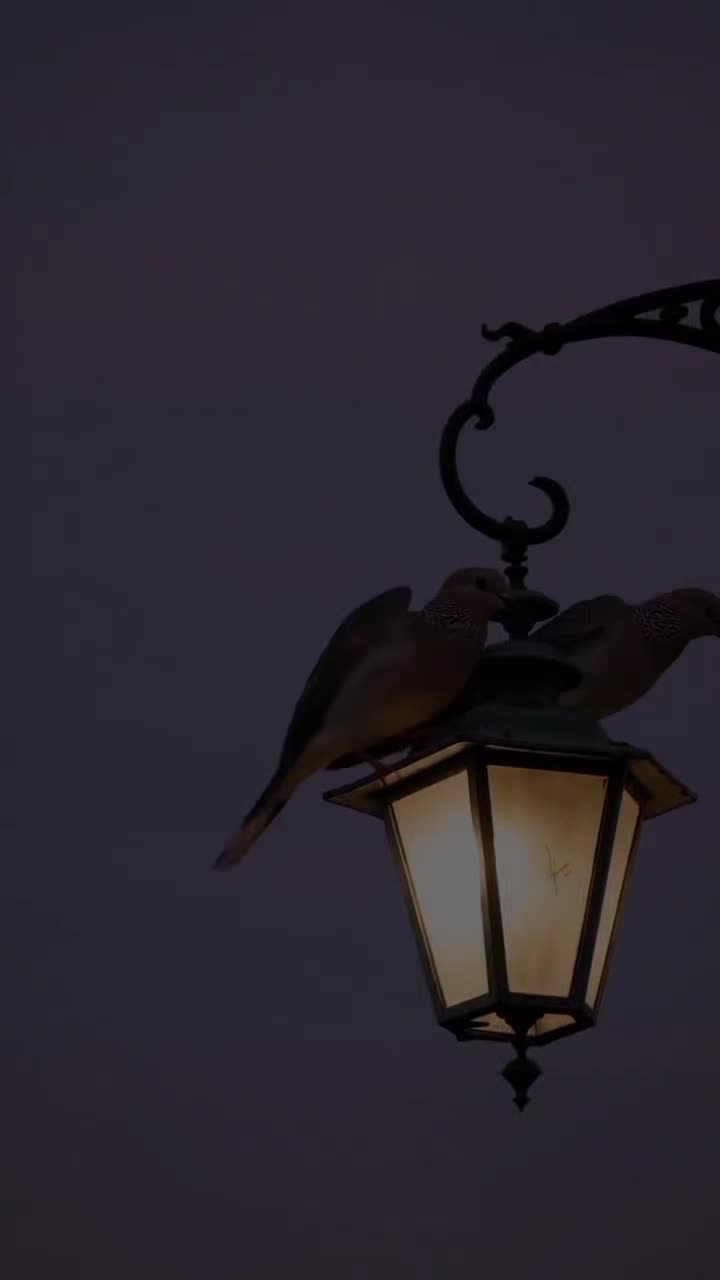 @𝗠𝗨𝗦𝗔𝗔𝗟𝗜𝗗
