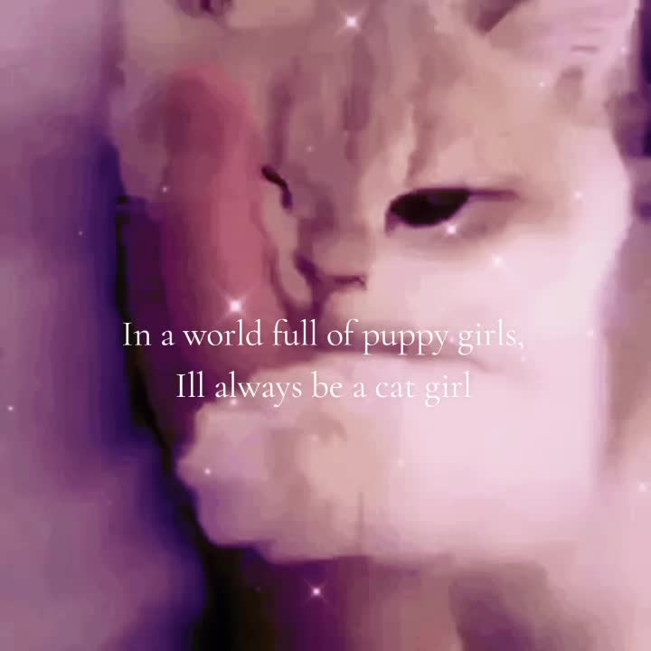 @🎀🔪🩸𝐶𝑢𝑡𝑒𝑐𝑢𝑡🩷🌸🐱