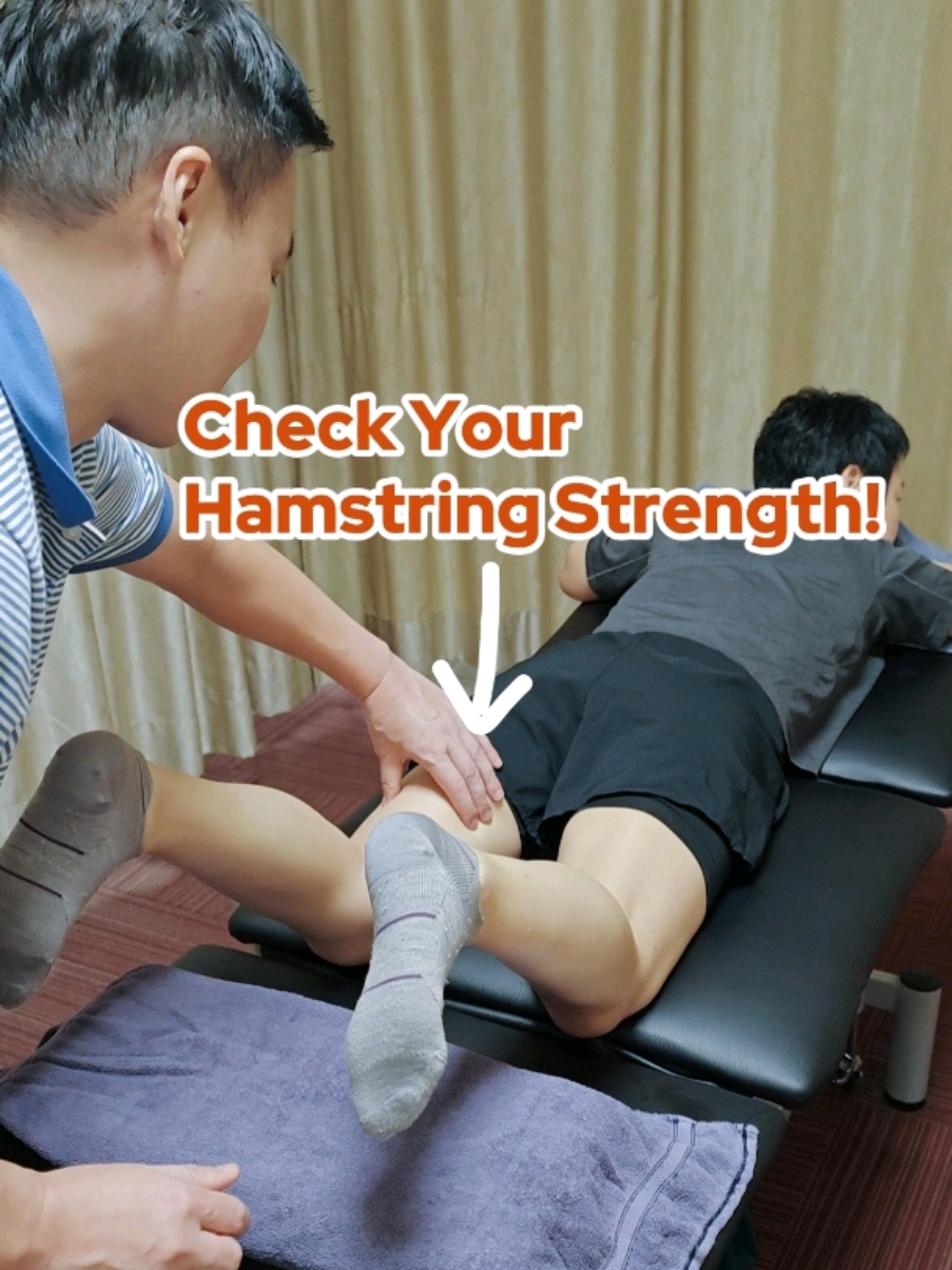 @PhysioBarn