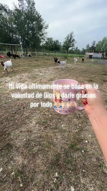 @Vanne🌻
