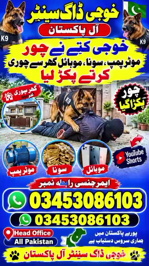 @khoji dog contact number