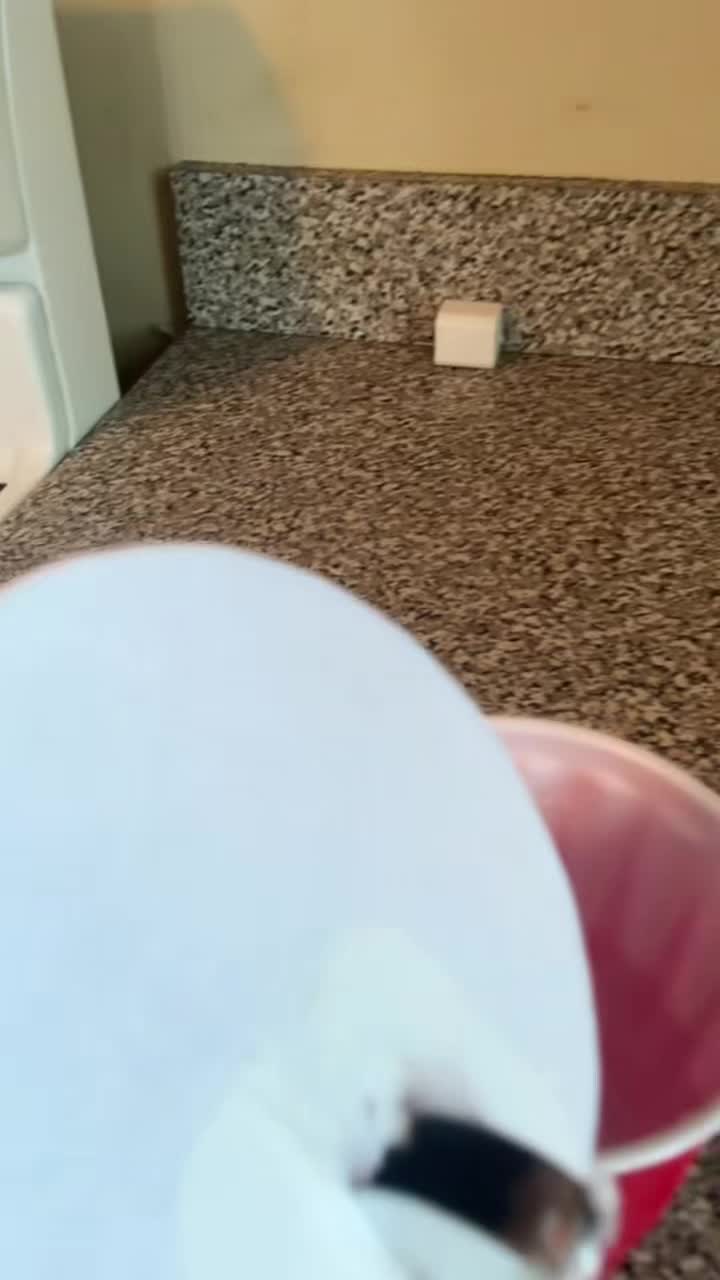 @hariecta