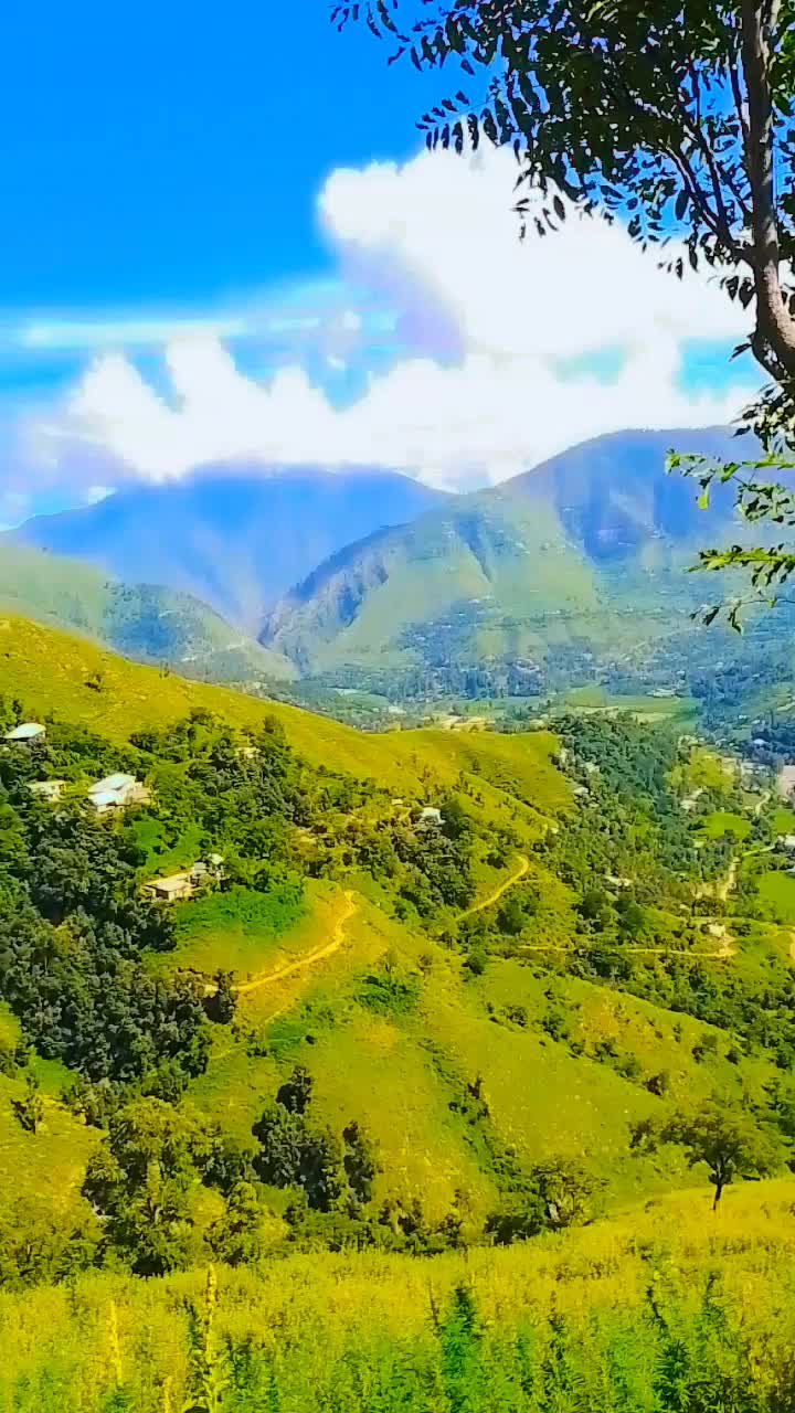 @WAQAR AHMAD ❤️love botany 🌴