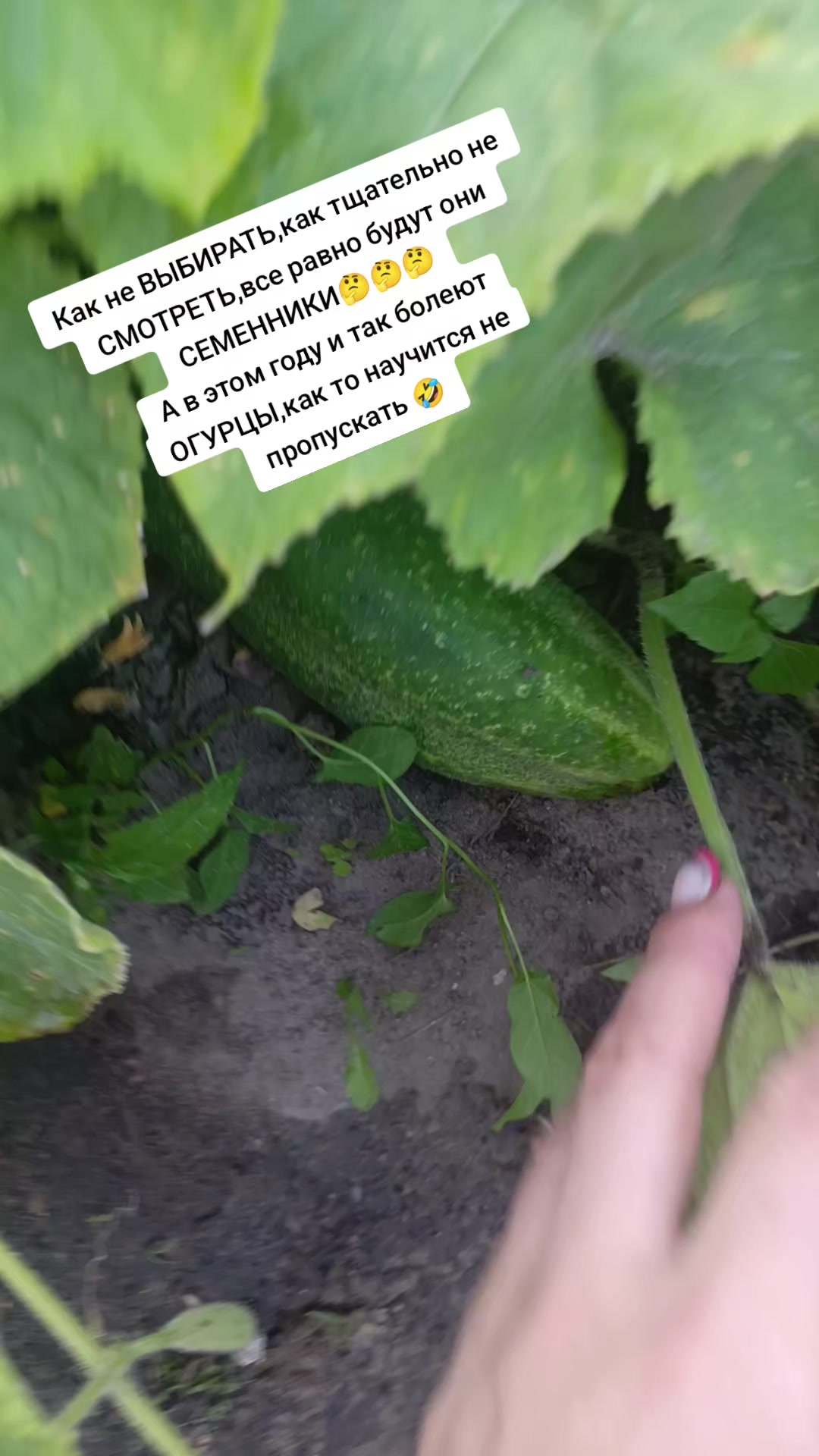 @Оленька
