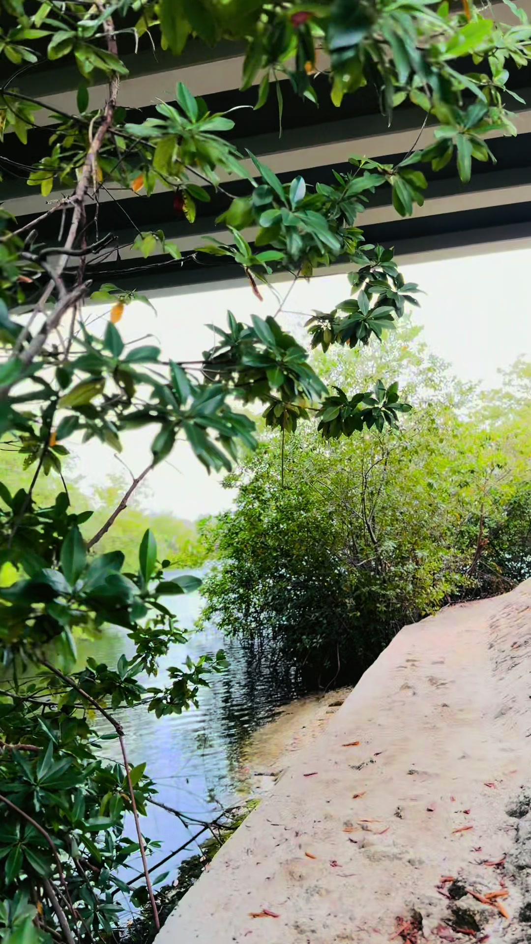 @Aruba random hikes