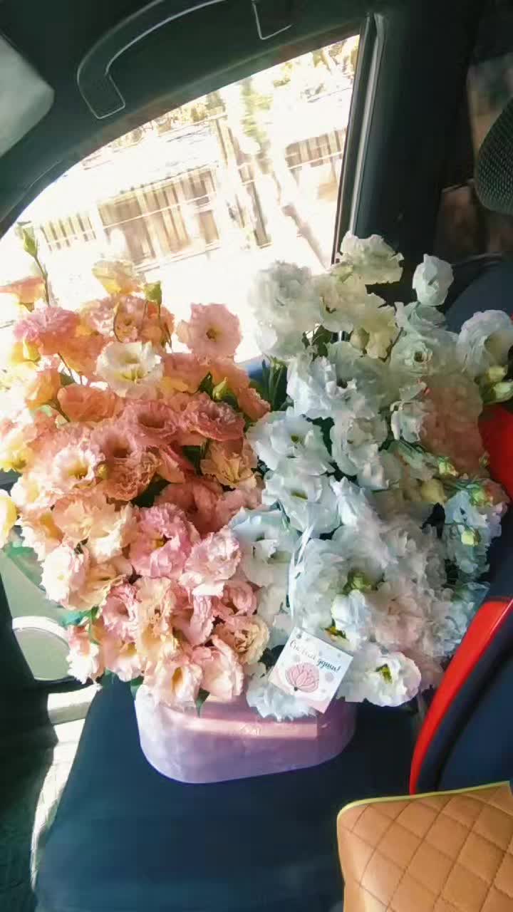 @77-MD-122