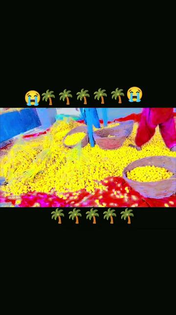 @👑👑👑zahidaliKing👑👑👑