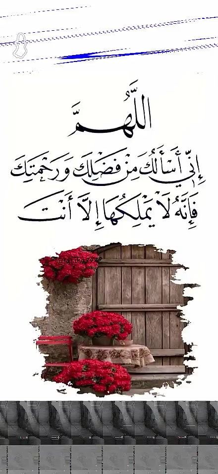 @🇸🇦هبو🇸🇦