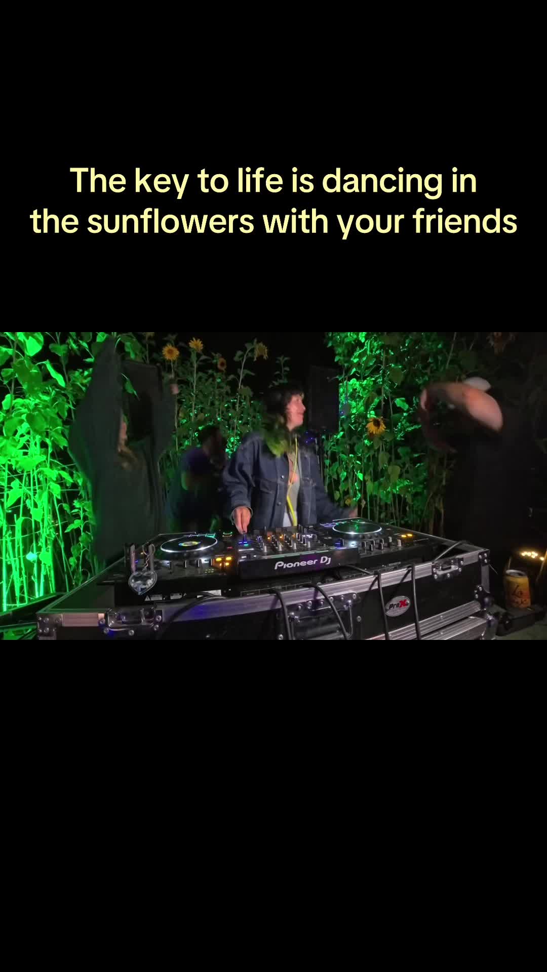 @mini bear