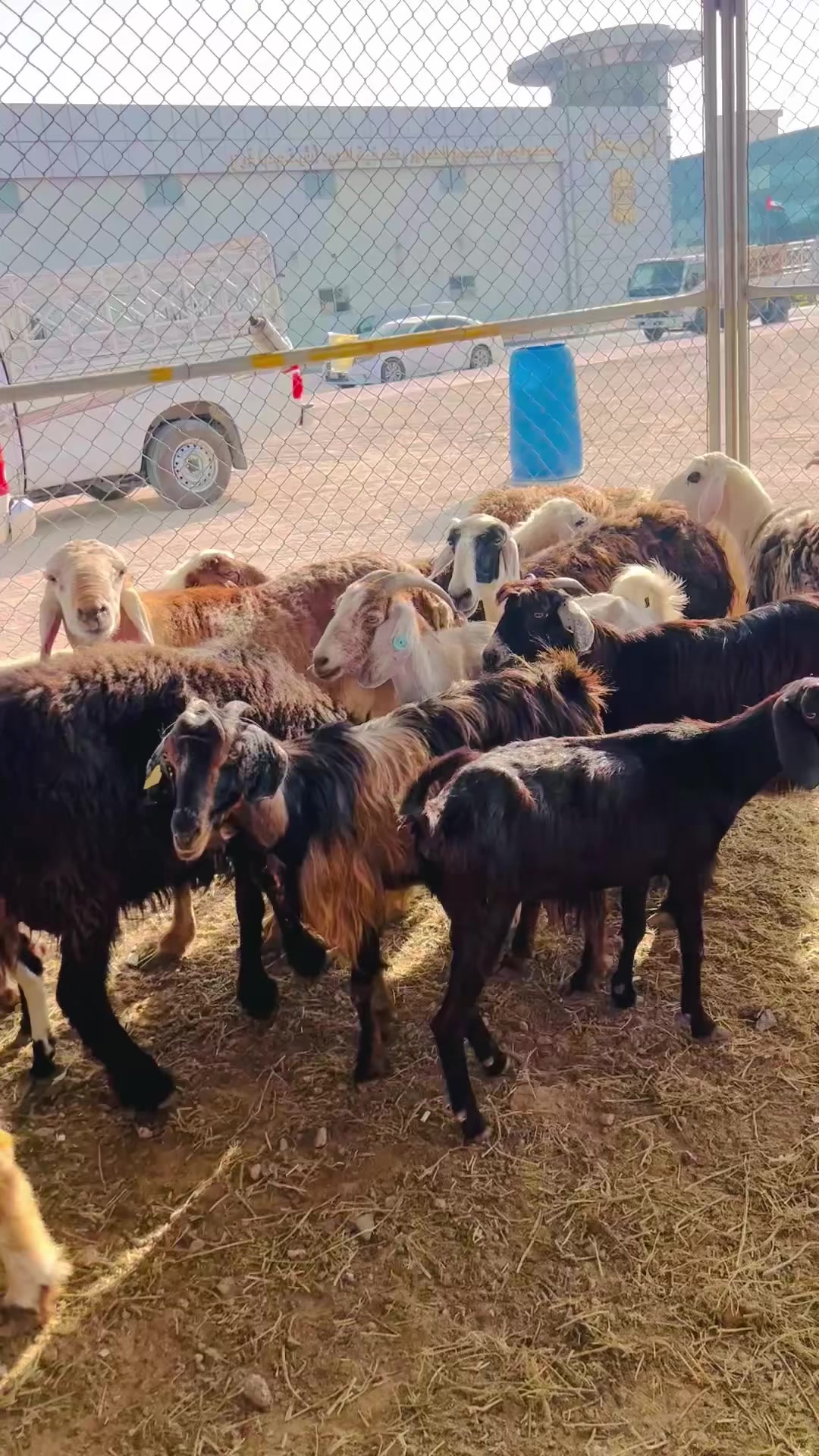@Rab Nawaz Khosa Baloch ❤️