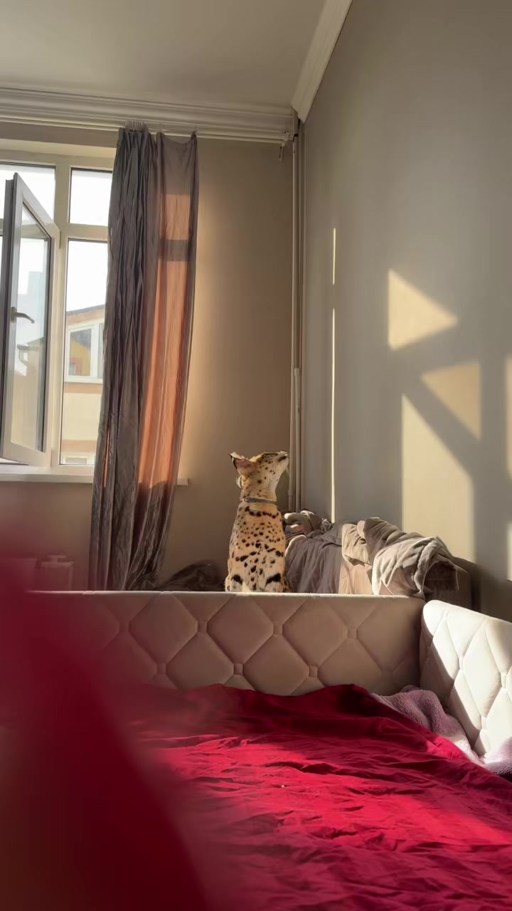 @Иса