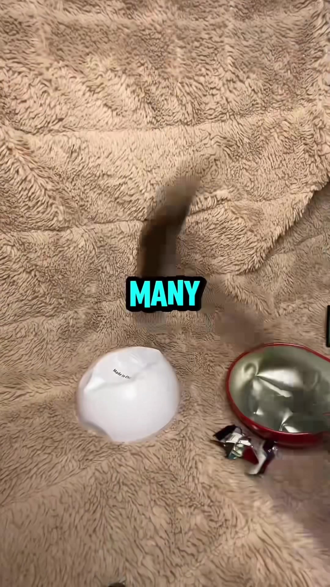 @Marcus ASMR