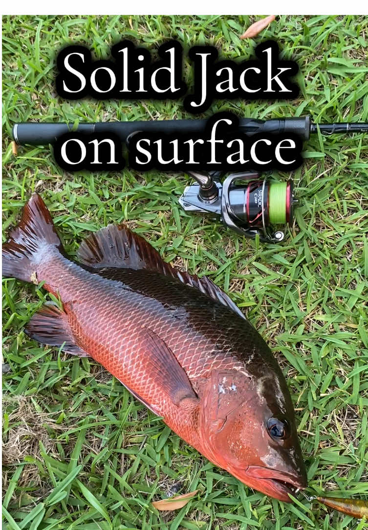@FishLikeADad