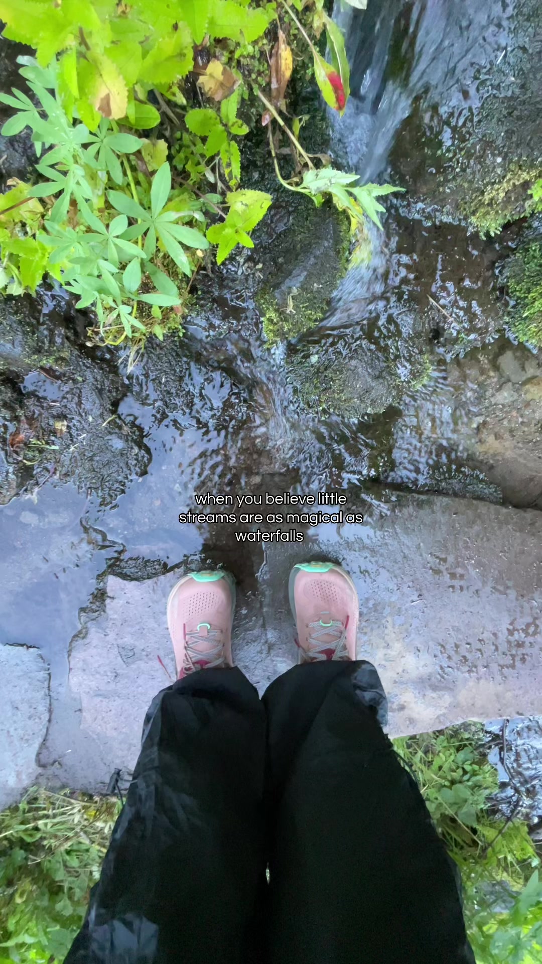 @Valeria | Solo Hiker 🌲🥾