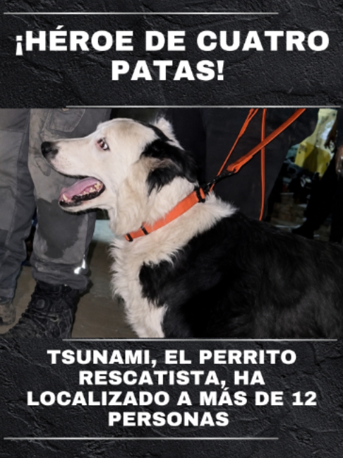@Revista TVNotas