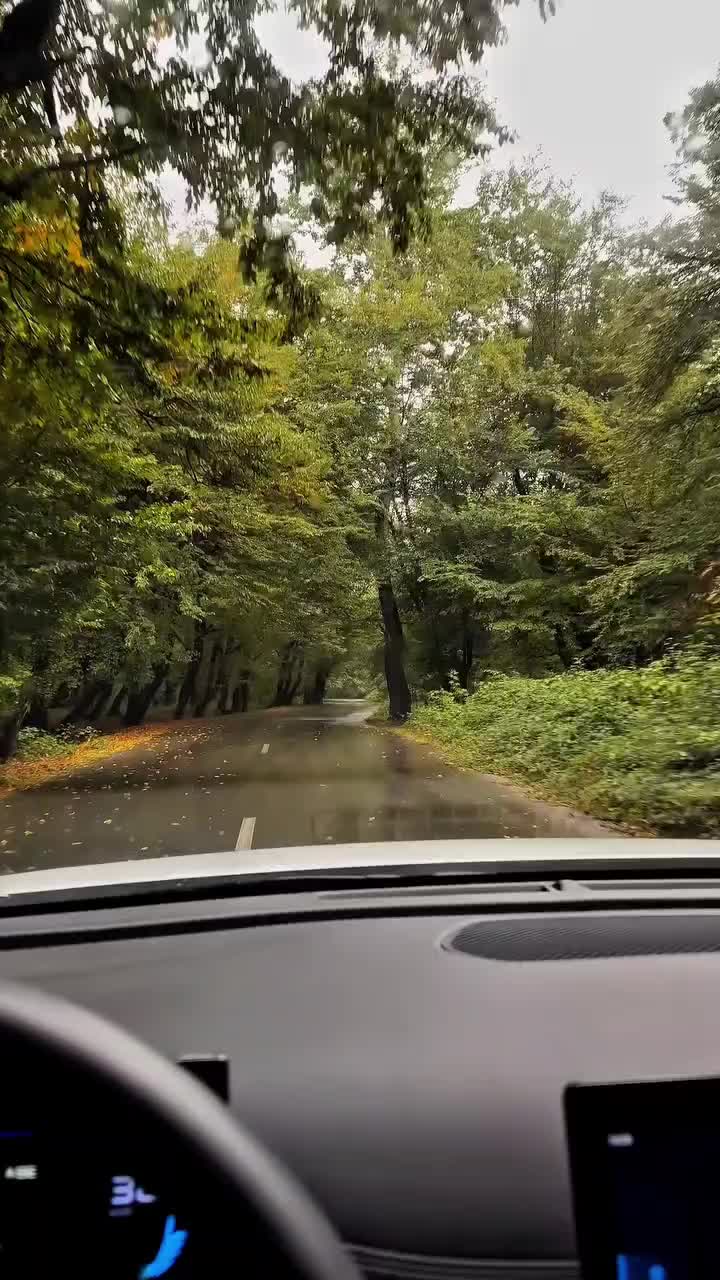 @Ramin Hacıyev