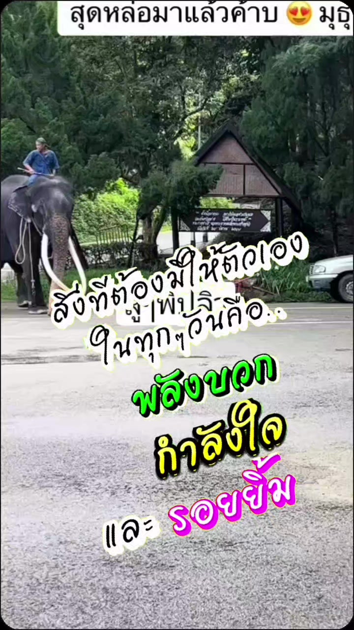 @นุ^-^ 🐹🐹💥🎧