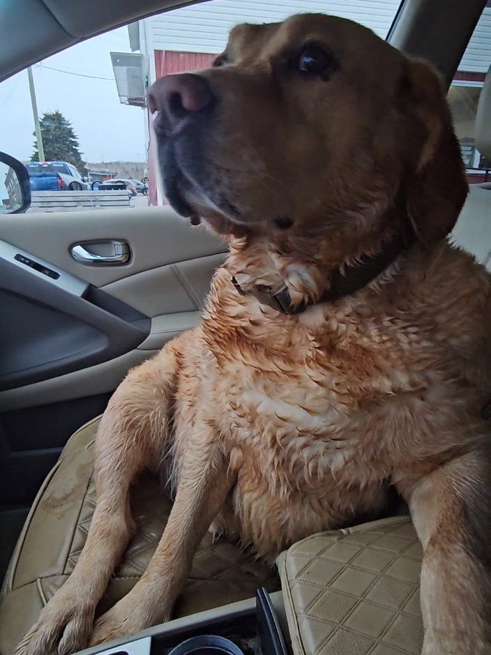 @Dogmom