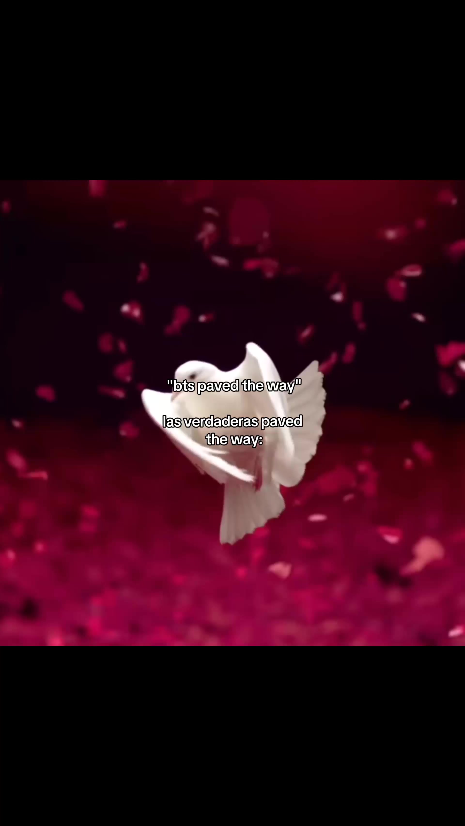 @hex ♡ 🌺