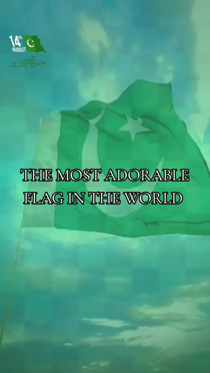@saniya shaikh