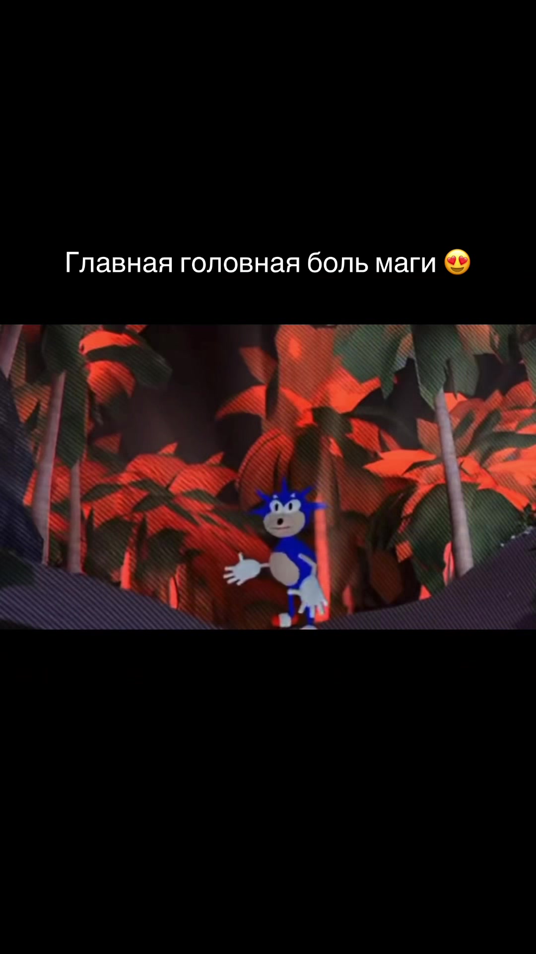 @Муся это ты ?🦁