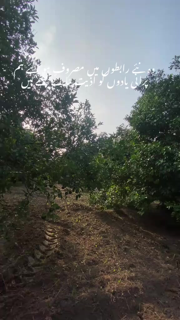 @SHAHMEER Ihsan ❤️&zwj;🩹