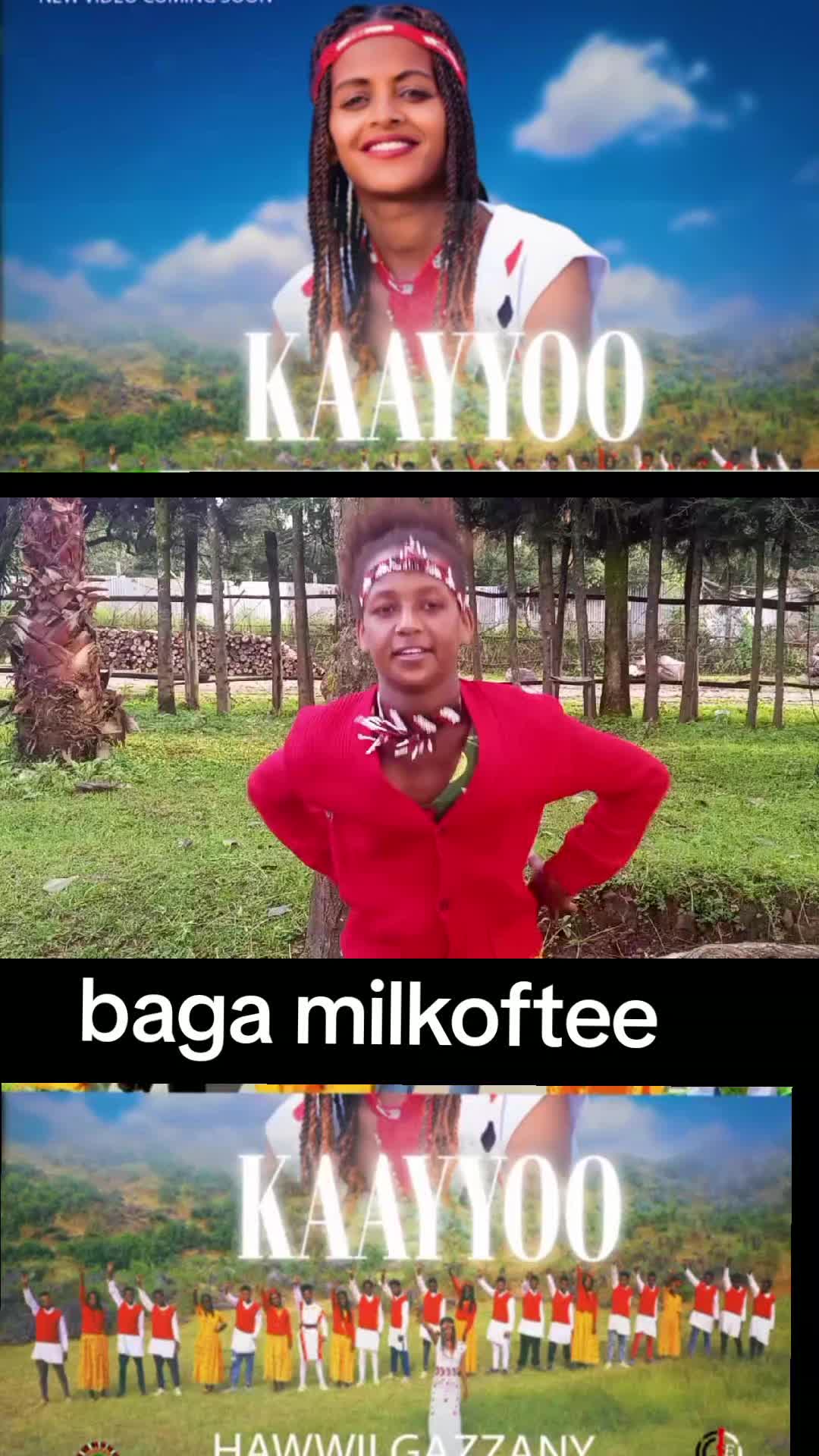 @yeeroosan shuguxii shawaa