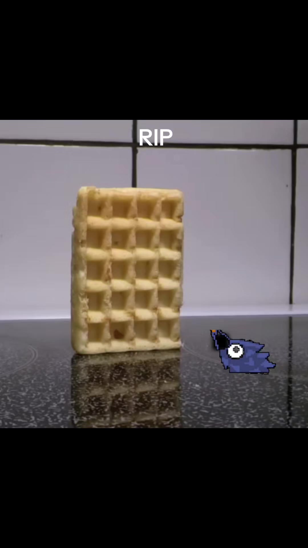 @Chronickel