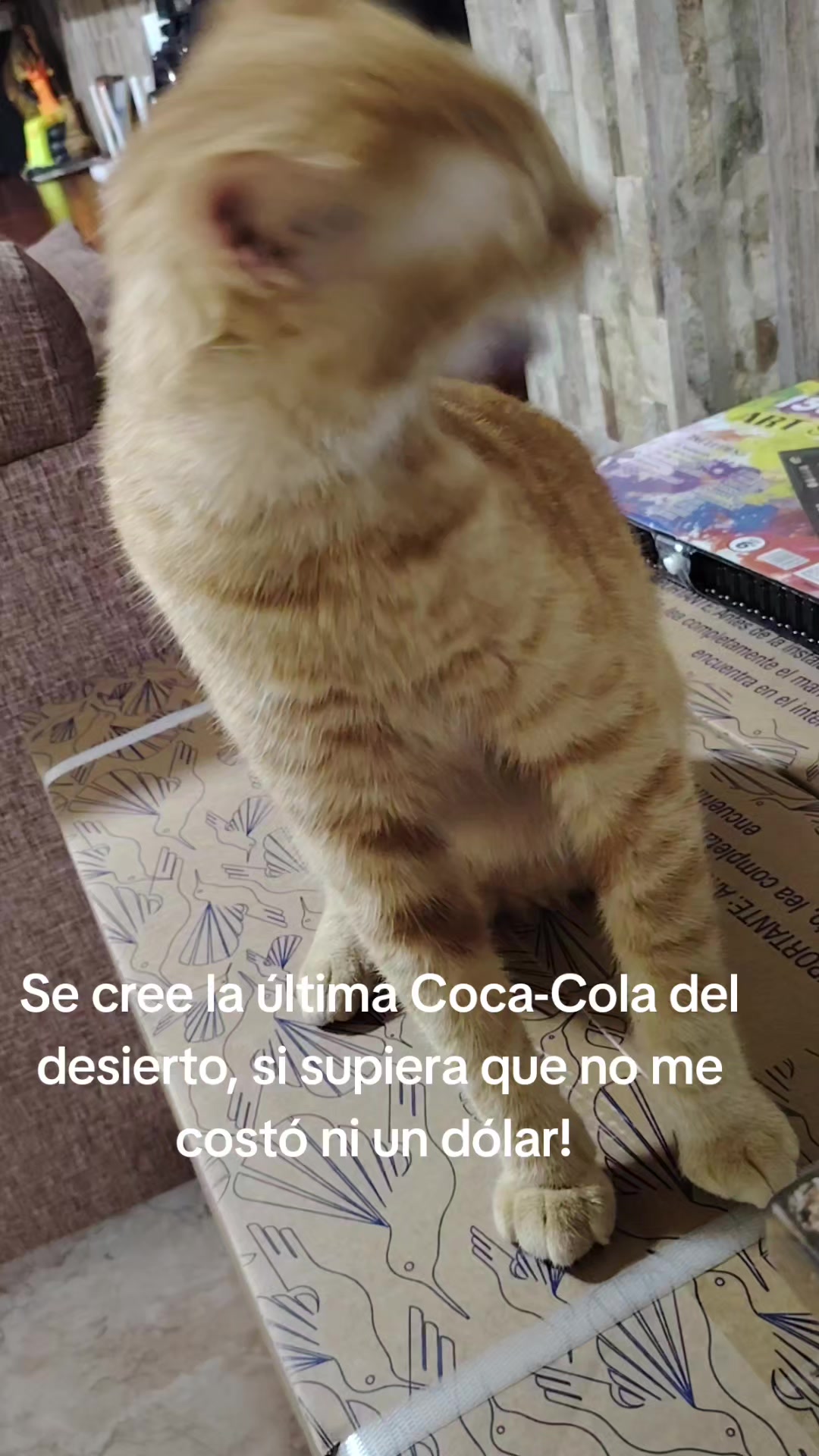 @Viviana Grijalva