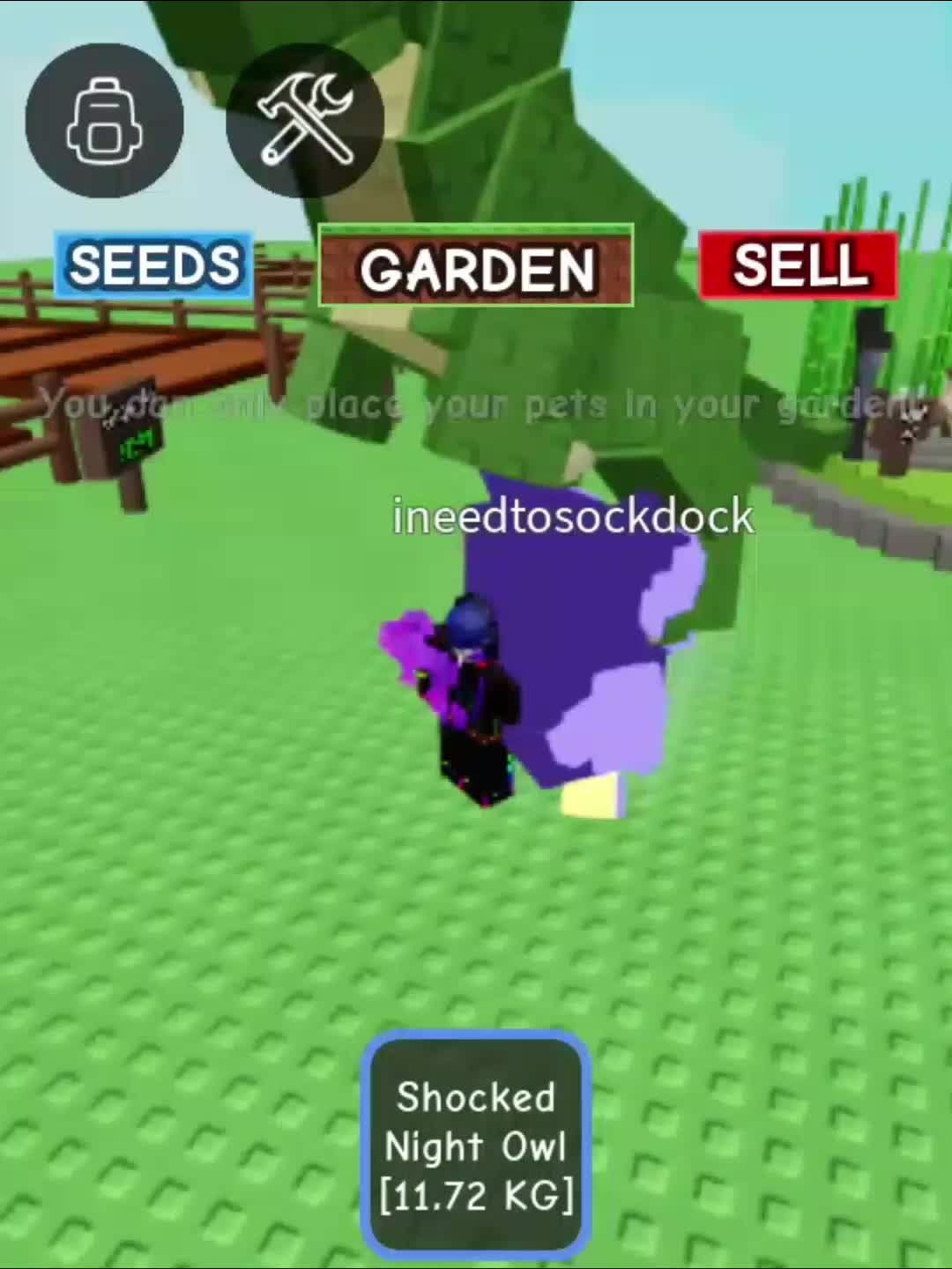 @Kori