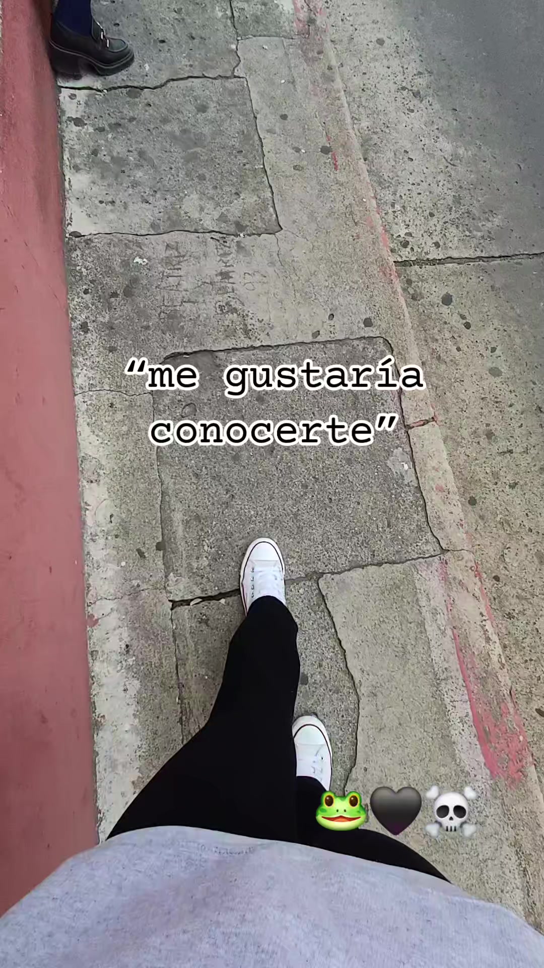 @🐸