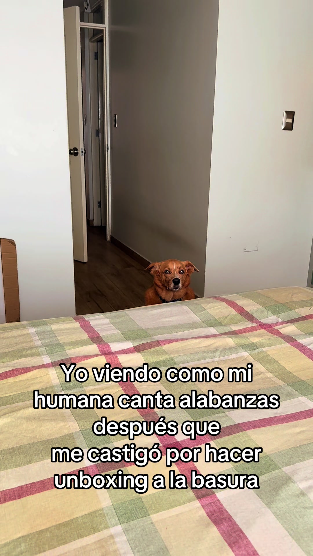 @Diario de Donny🐕 y mami👩🏻
